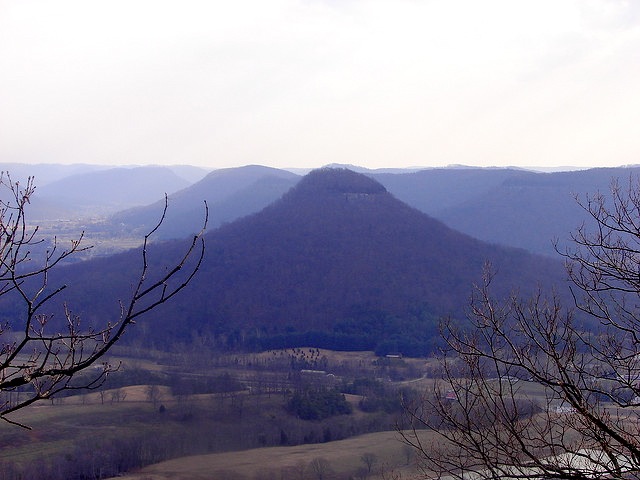 Berea Forest Hiking